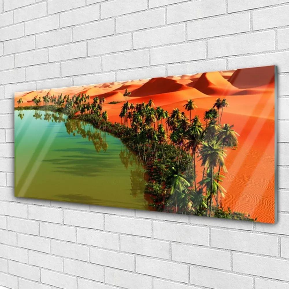 Obraz plexi Jazero púšť palmy 125x50 cm