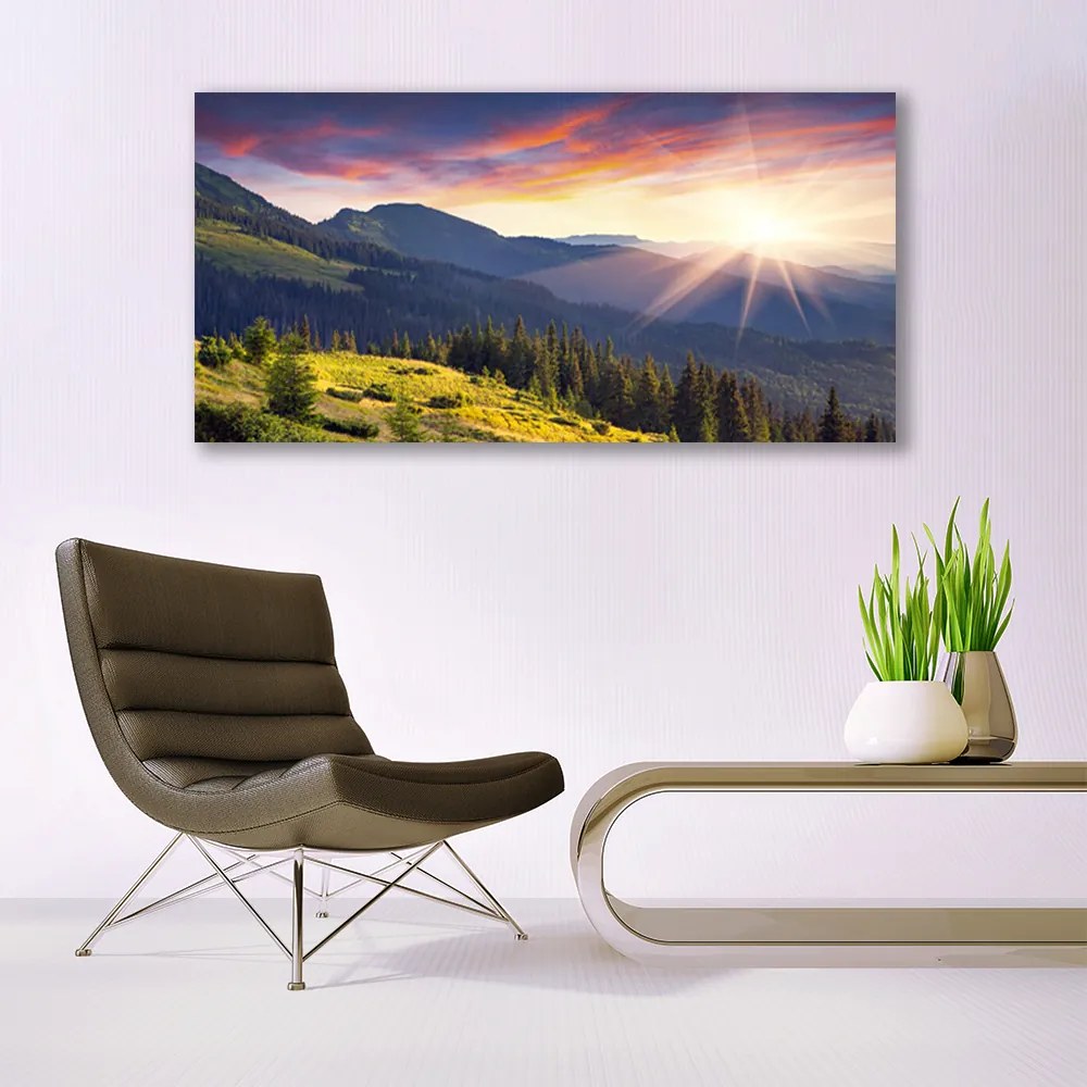 Obraz plexi Hora les slnko krajina 120x60 cm
