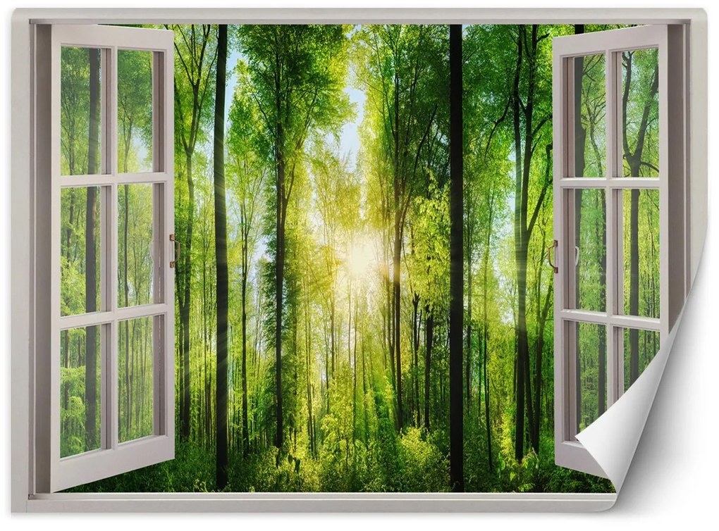 Gario Fototapeta Okno - slnečné lúče v lese Materiál: Vliesová, Rozmery: 280 x 200 cm