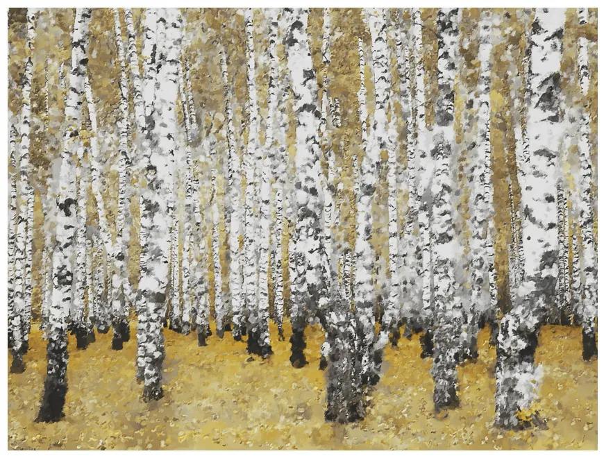 Artgeist Fototapeta - Autumnal birch forest Veľkosť: 196x154, Verzia: Samolepiaca