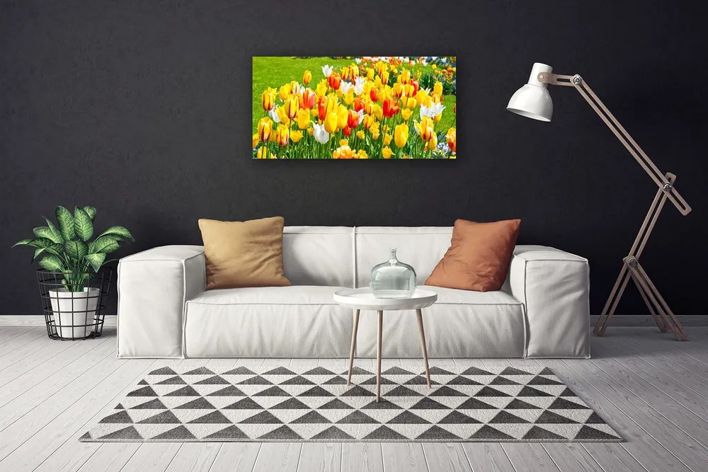 Obraz Canvas Tulipány kvety príroda 120x60 cm