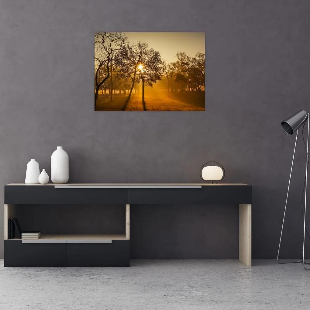 Sklenený obraz - Východ slnka (70x50 cm)