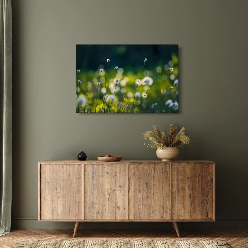 Obraz - Tráva (90x60 cm)