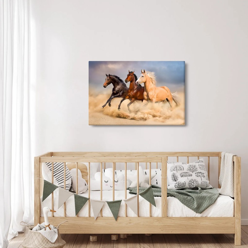 Obraz - Divé kone (90x60 cm)