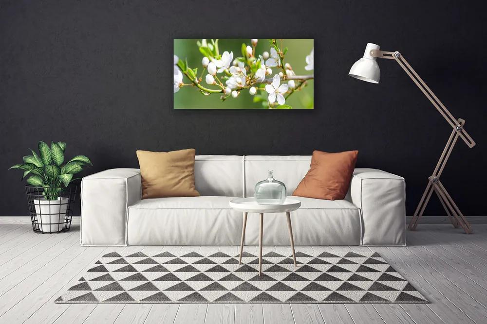 Obraz Canvas Kvety vetvy listy sad 140x70 cm