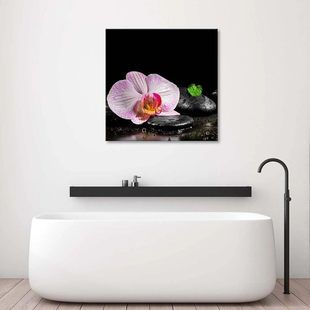 Gario Obraz na plátne Kvitnúce zen orchidea Rozmery: 30 x 30 cm