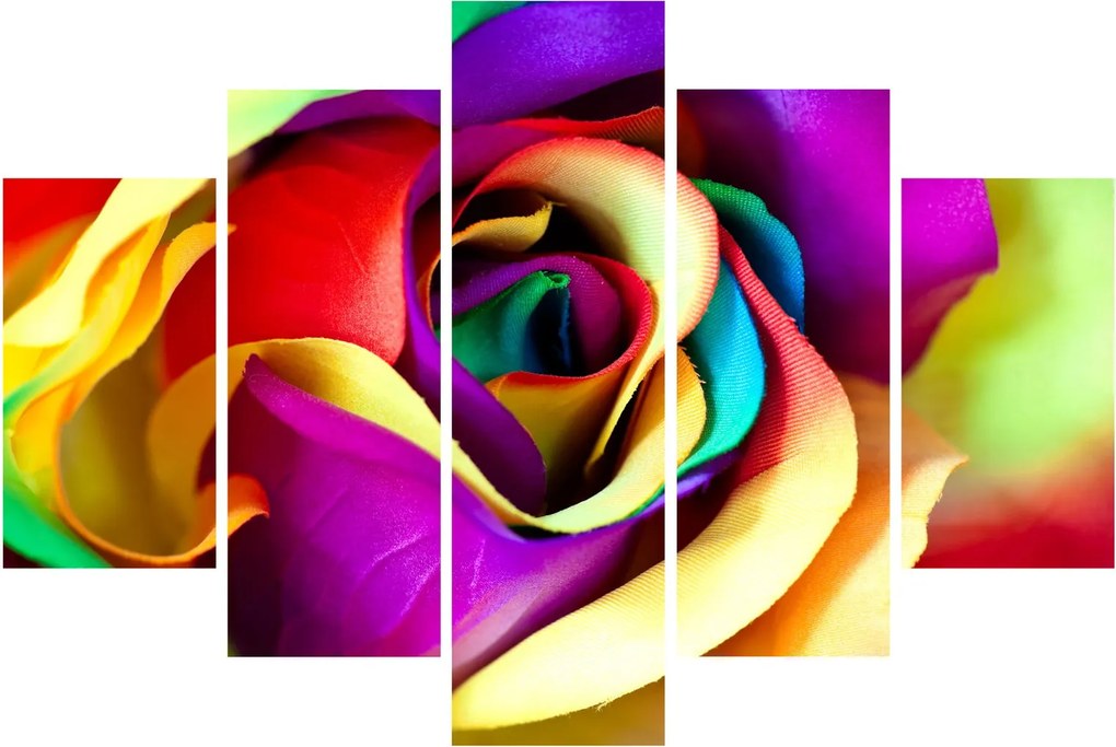 Obraz - Farebná ruža (150x105 cm)