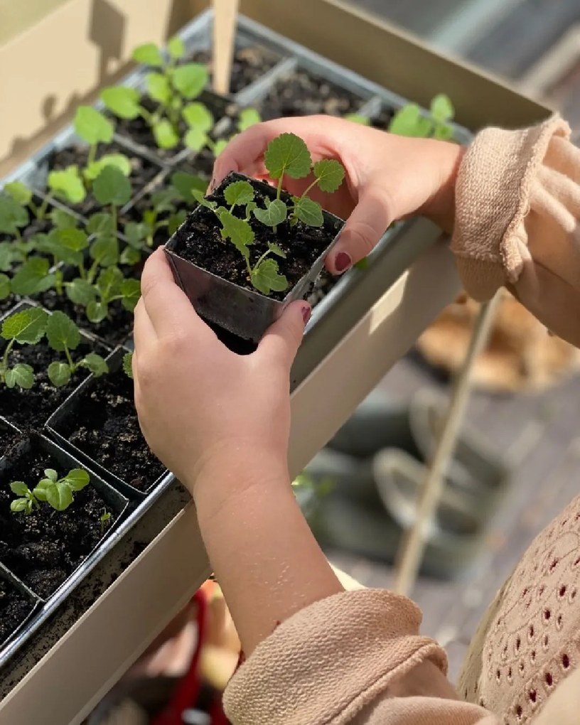 Ferm Living Stojan na kvety Plant Box Cashmere
