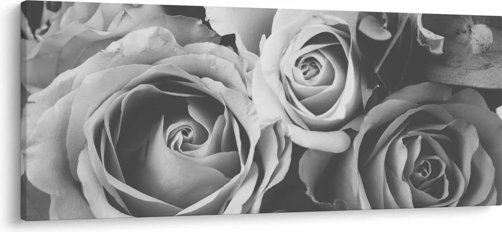 Obraz - Ruža, čiernobiela (120x50 cm)