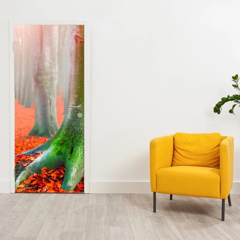 Fototapeta na dvere - Stromy (95x205cm)