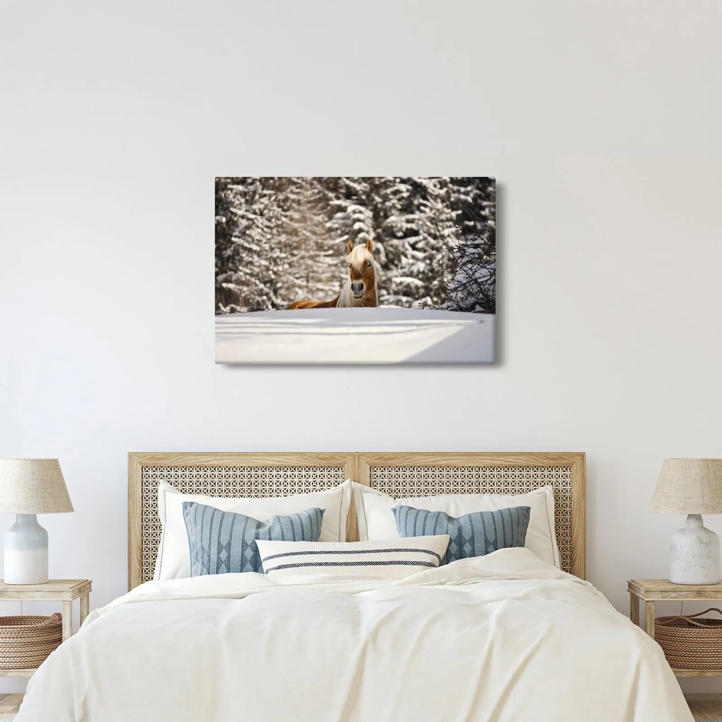 Obraz - Kôň v zimnej krajine (90x60 cm)