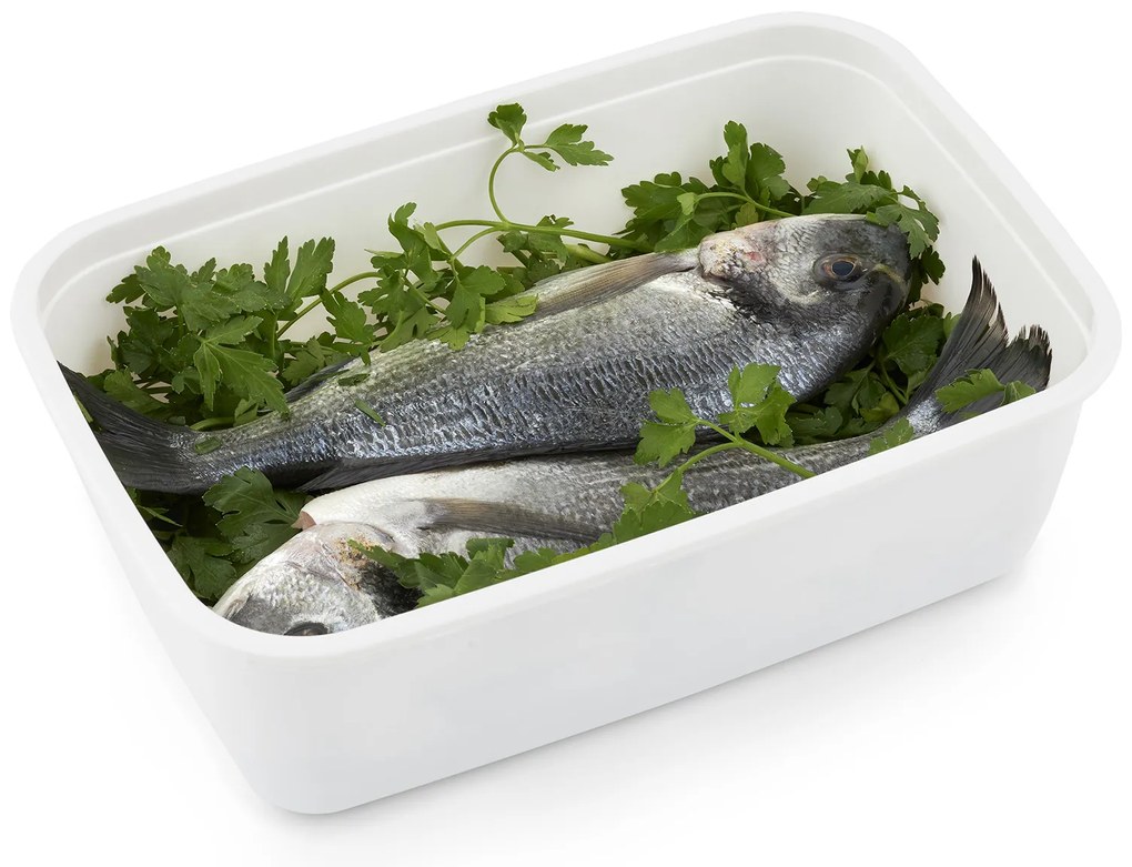 Plastové dózy do mrazničky, Rotho FREEZE, biela, 1 x 3,7l (30x20x9)