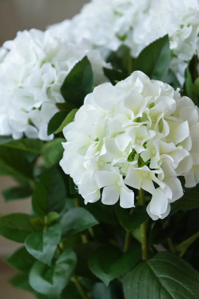 Umelá hortenzia HYDRANGEA v bielom kvetináči, výška 78 cm, biela
