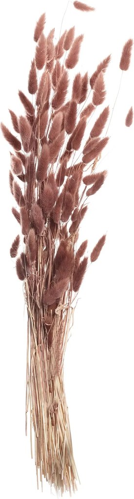 Kytica fúkačiek 60cm dusty pink