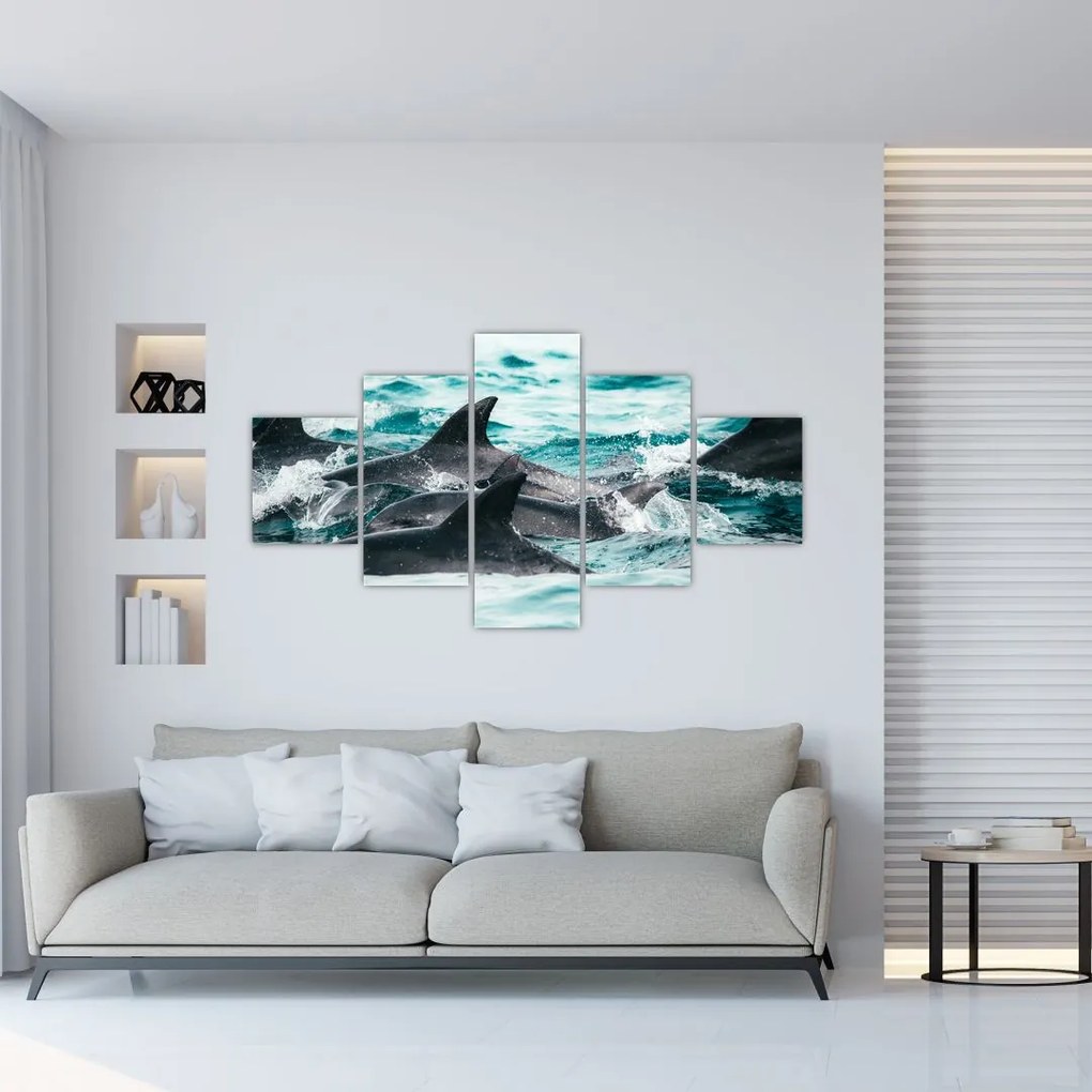 Obraz - Delfíny v oceáne (125x70 cm), 40 ďalších rozmerov