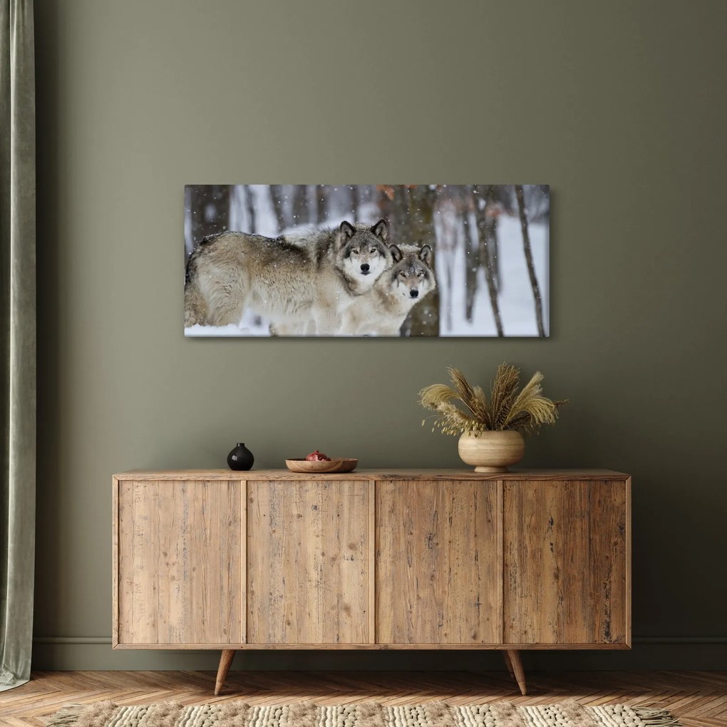 Obraz - Vlci v zime (120x50 cm)