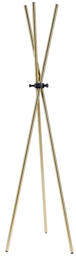 Oceľový vešiak v zlatej farbe Darwin - White Label