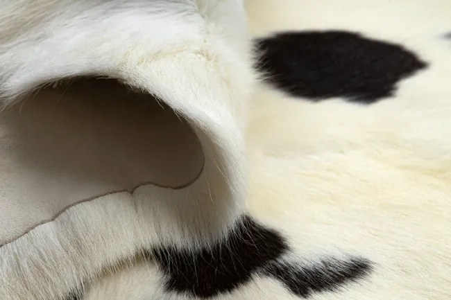 Koberec RENIFER POK007 krémový / sivý