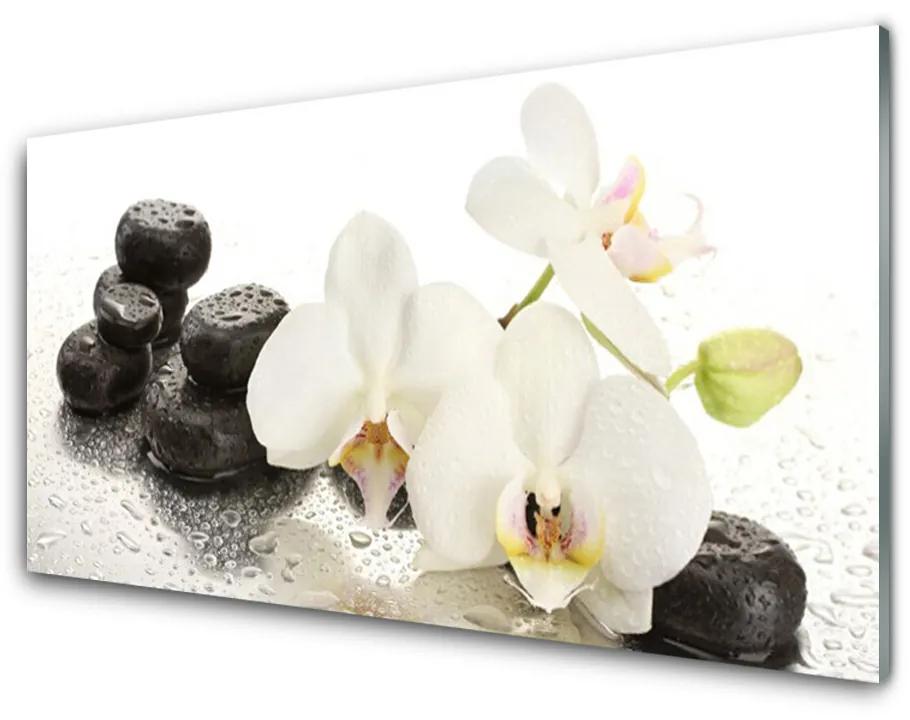 Sklenený obklad Do kuchyne Kvet kamene rastlina 125x50 cm