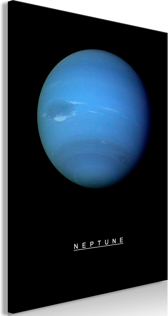 Obraz - Neptune (1 Part) Vertical 40x60
