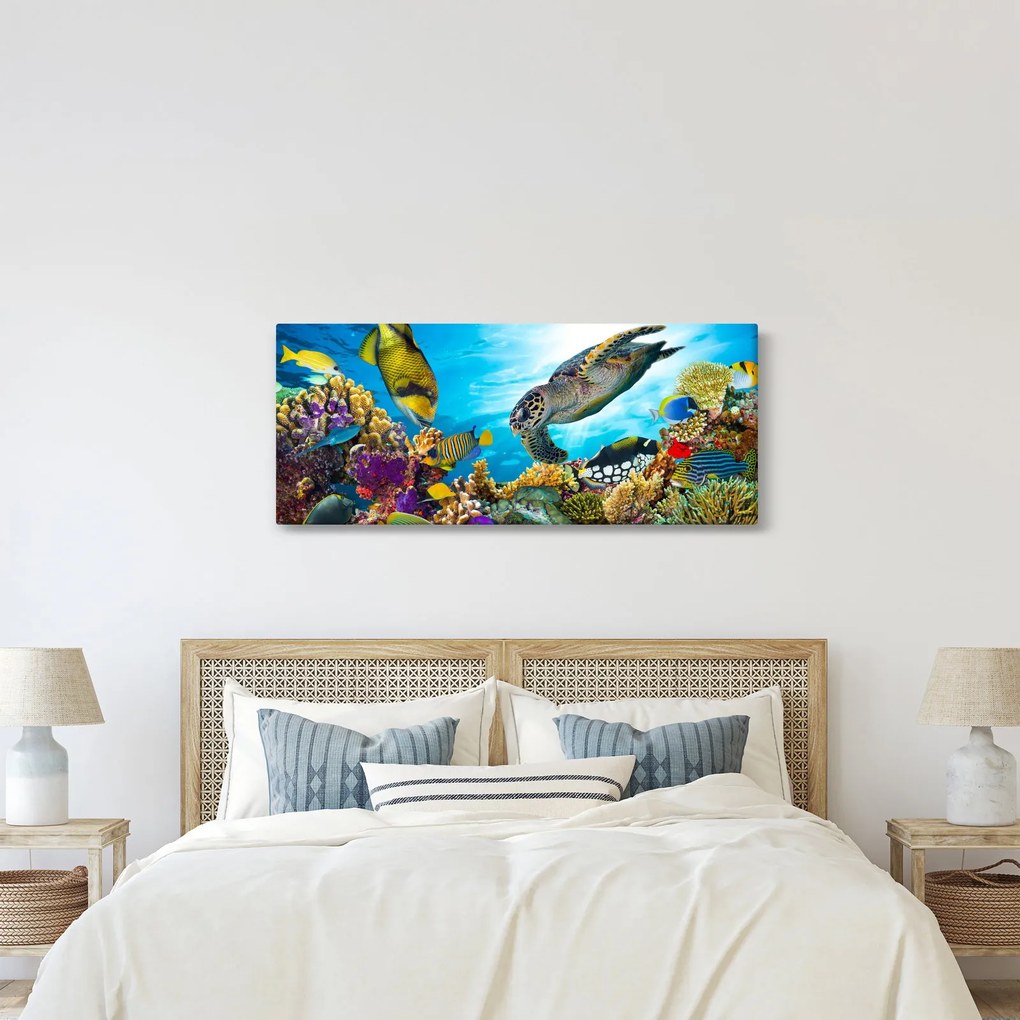 Obraz koralového útesu (120x50 cm)