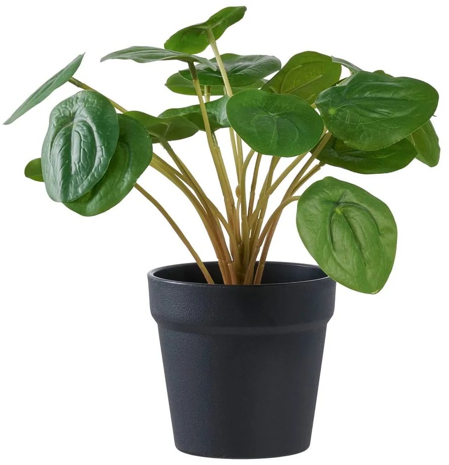 Umelá rastlina (výška 28 cm) Pelia – House Nordic