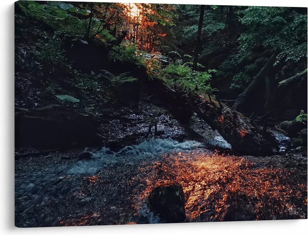 Obraz horskej riečky (70x50 cm)