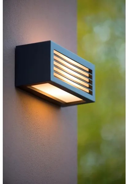 Lucide 27853/01/30 - Vonkajšie nástenné svietidlo DIMO 1xE27/18W/230V
