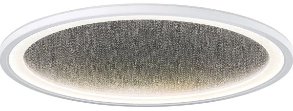 Brilliant - LED Stmievateľné stropné svietidlo TANIDA LED/31W/230V 3000-6500K + DO