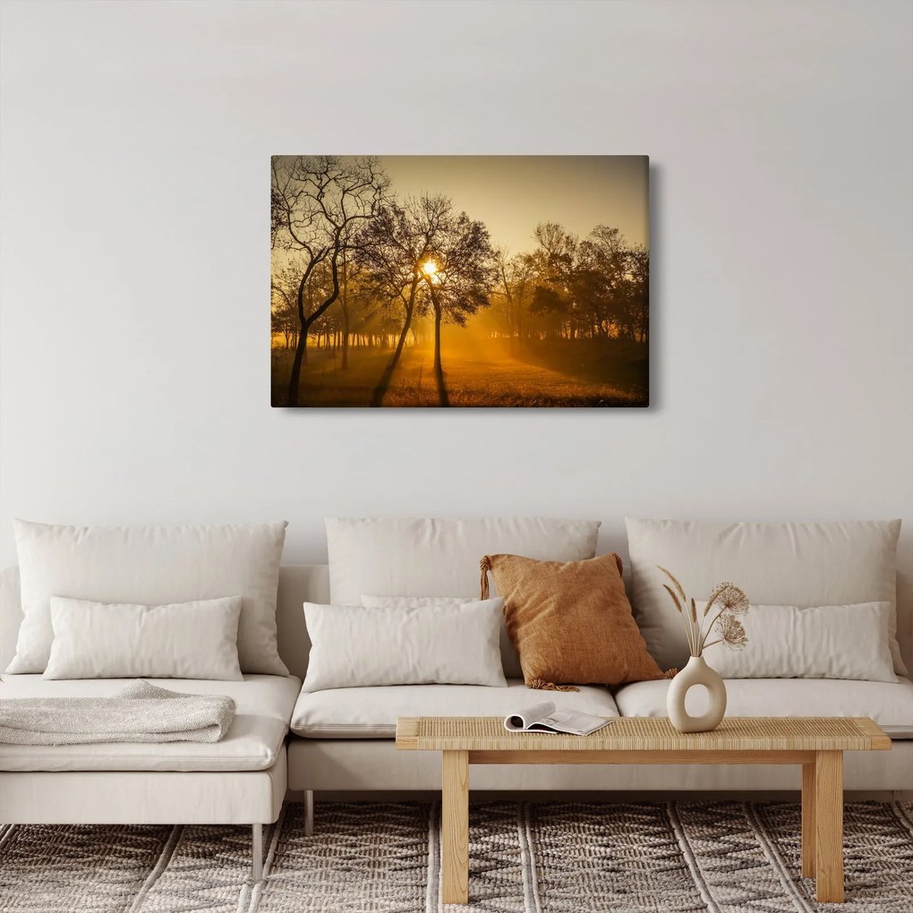 Obraz - Východ slnka (90x60 cm)