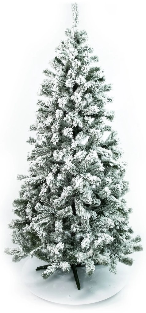 Limpol Jedľa Eliza 1,80 m zasnežená