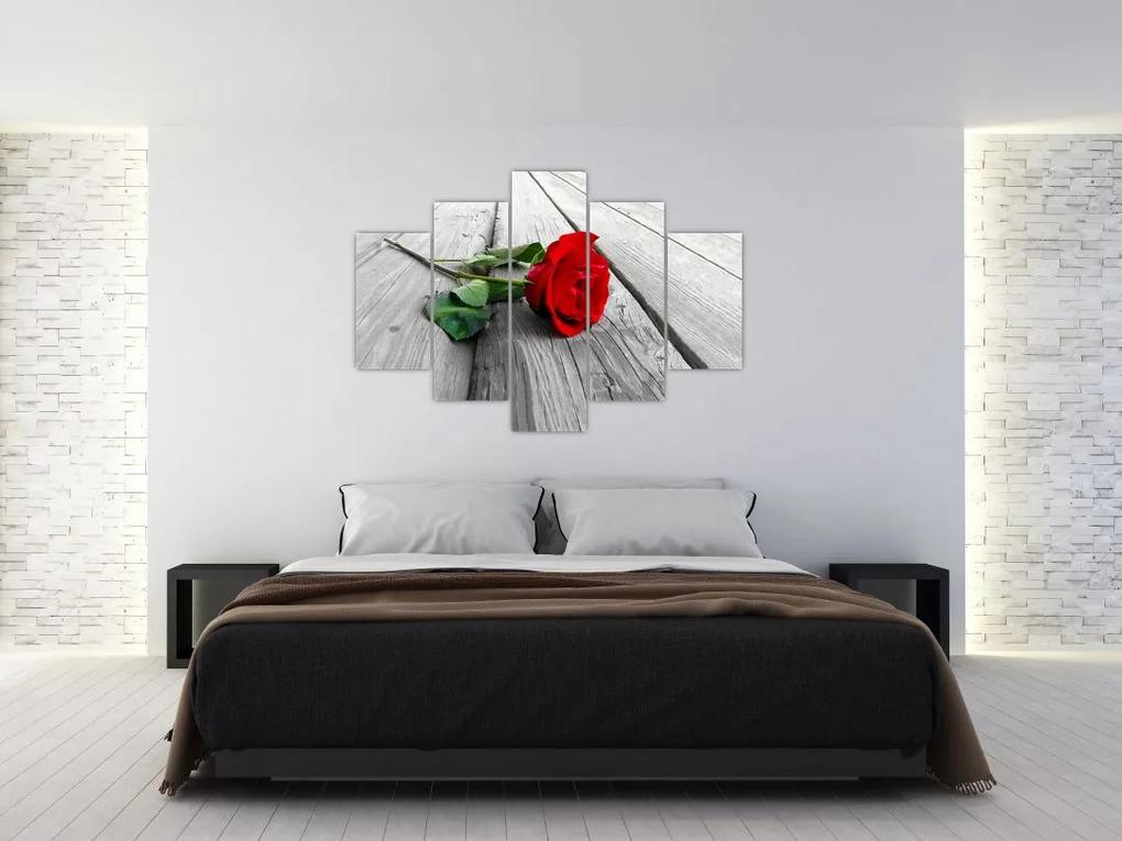 Moderný obraz - ruža