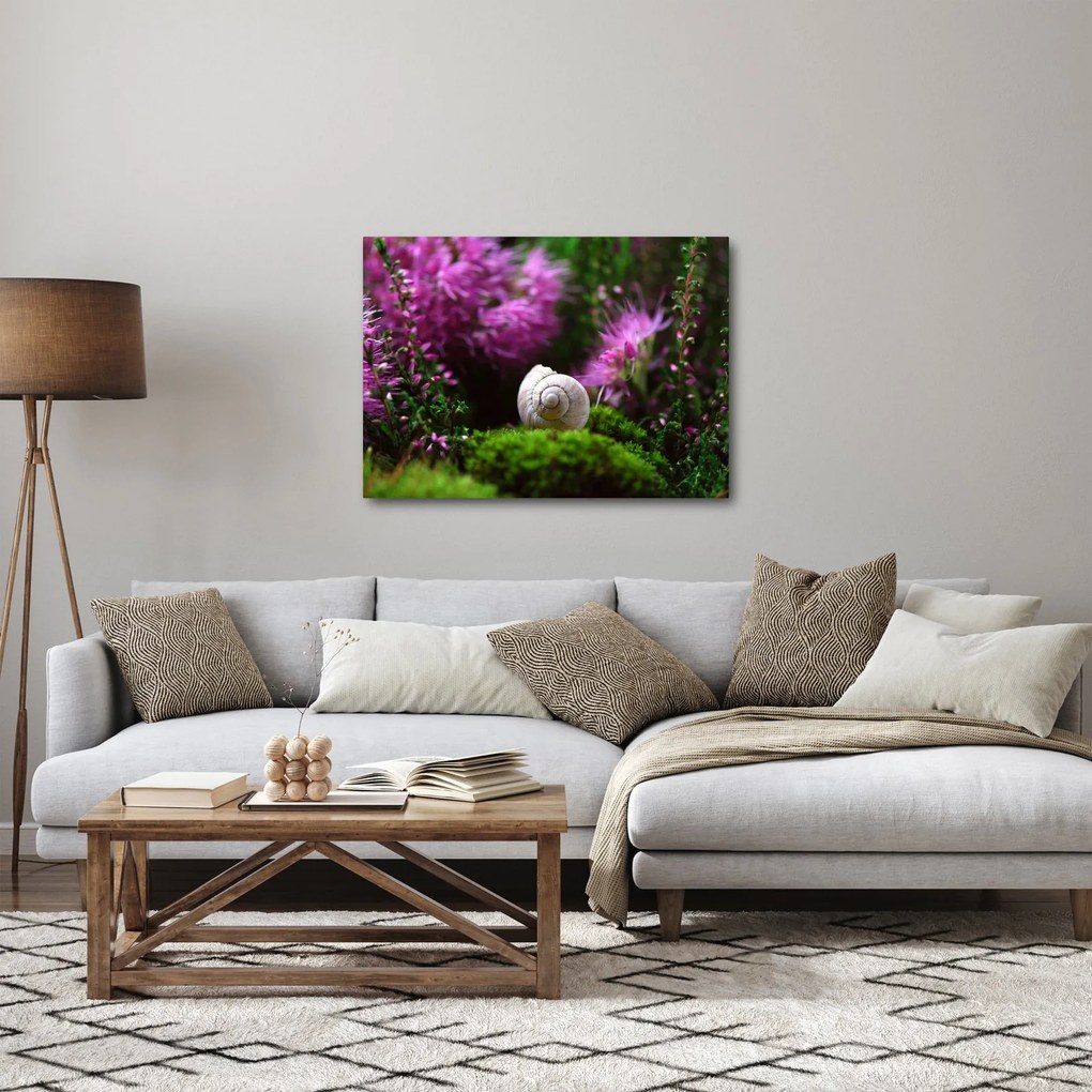 Obraz - Slimáková ulita (70x50 cm)