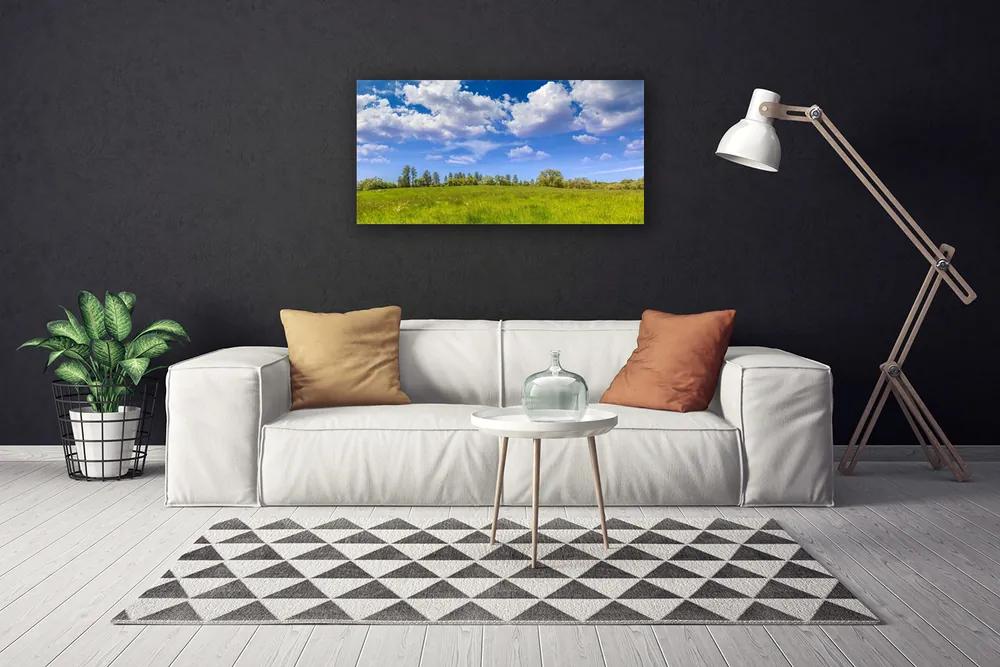 Obraz Canvas Lúka tráva nebo krajina 120x60 cm