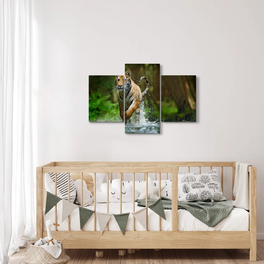 Obraz bežiaceho tigra (90x60 cm)