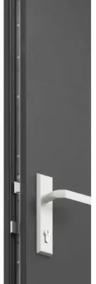 Kovové vchodové dvere S68 Neptun 90 Ľ tmavý antracit