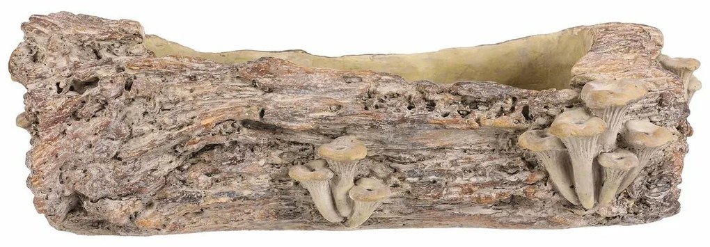 Betonový obal - truhlík, drevo s hubami, 49 x 21 x15 cm