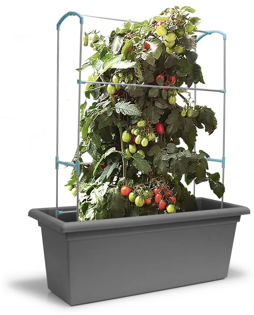 Gardenico Vertikálna podpera Green Wall Magnus, 100 cm, 100 cm