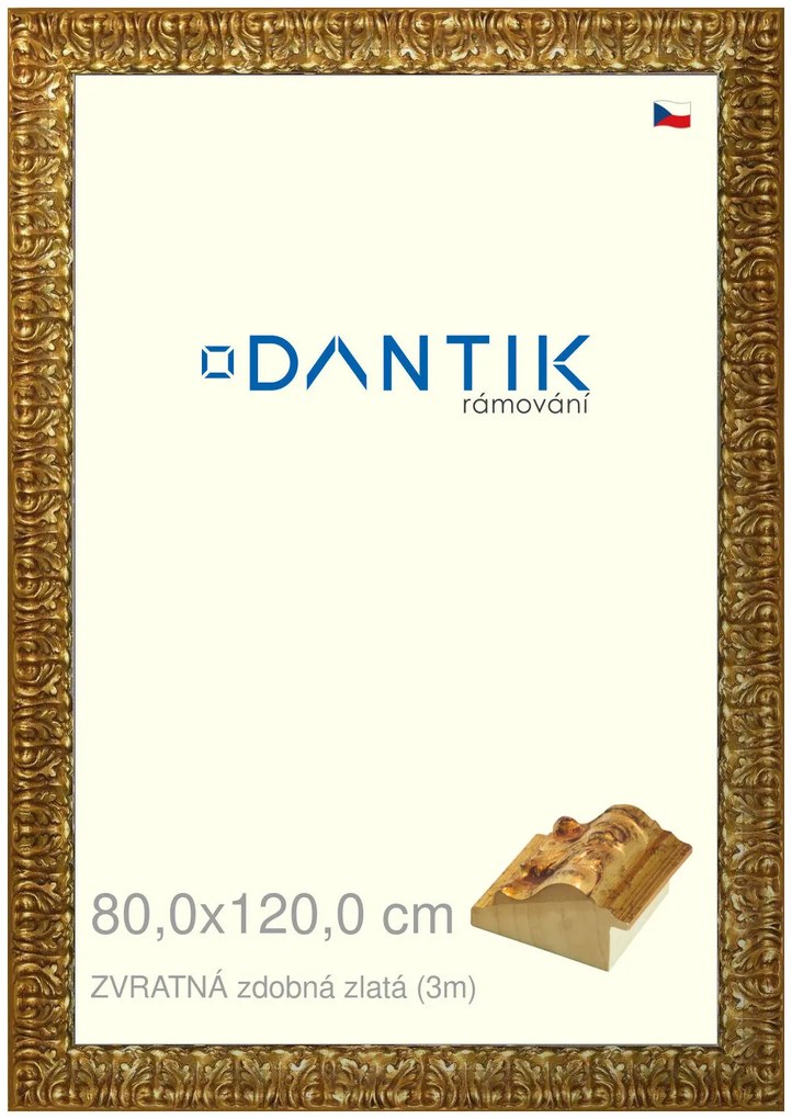 DANTIK rám na obraz 80x120 | ZVRATNÁ zdobná zlatá (Plexi Čiré)