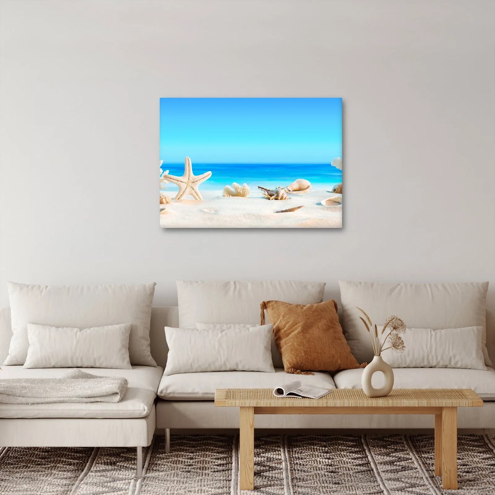 Obraz - Zátišie s mušľami (70x50 cm)
