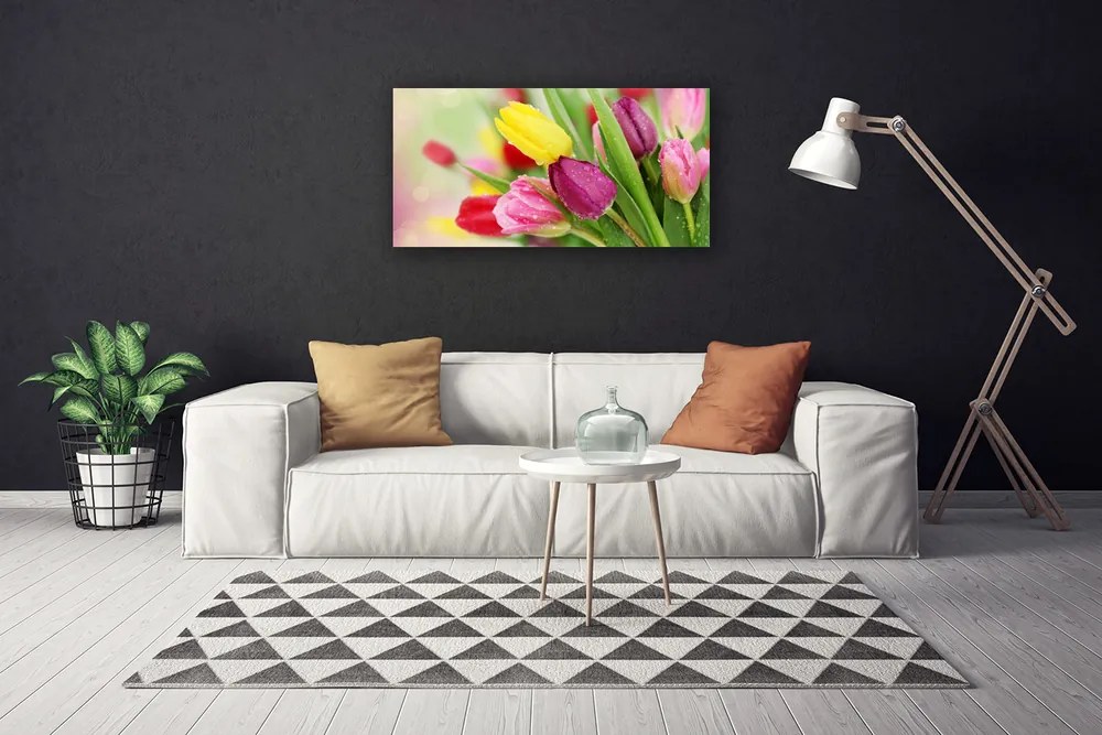 Obraz na plátne Tulipány kvety rastlina 100x50 cm