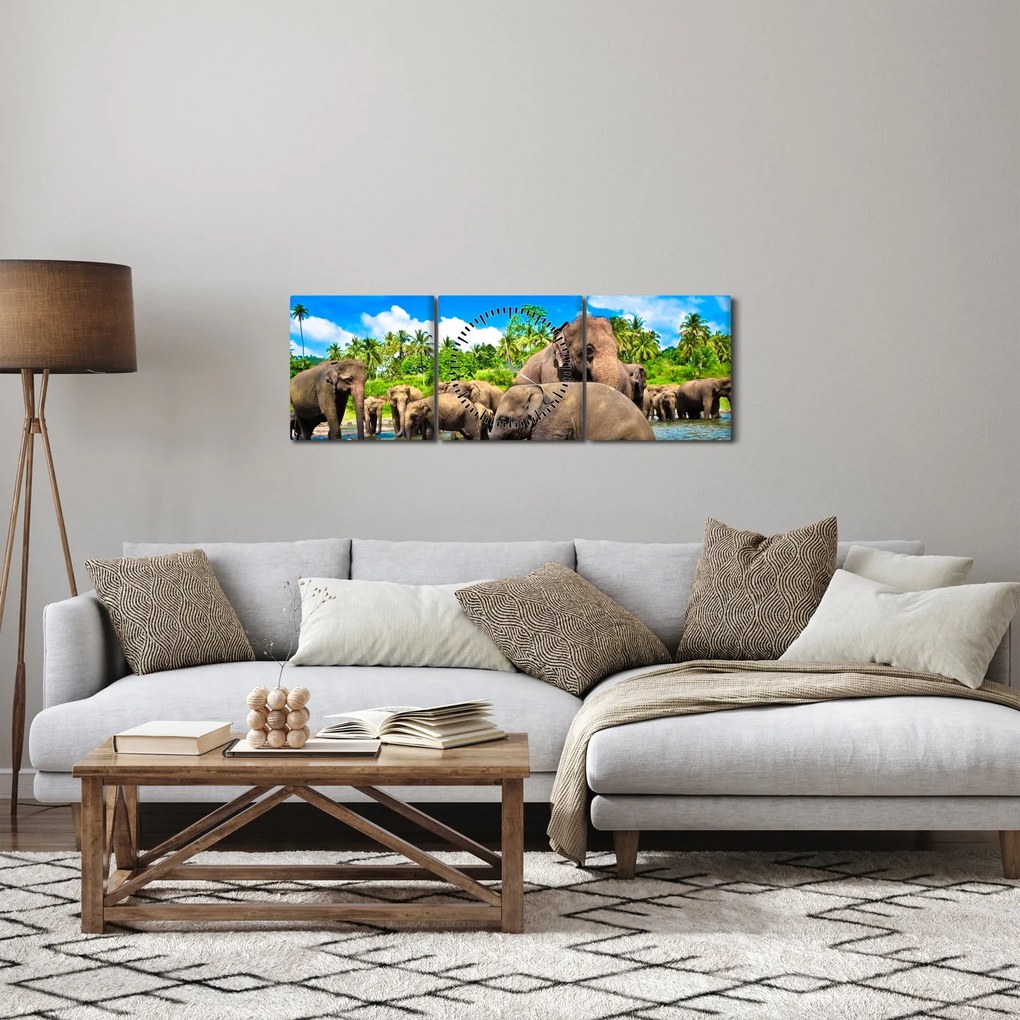Obraz - Slony, Sri Lanka (s hodinami) (90x30 cm)