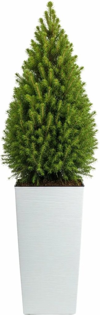 PLASTOVÝ KVETINÁČ PORTO RIFLO 75X39,5X39,5 CM BIELA