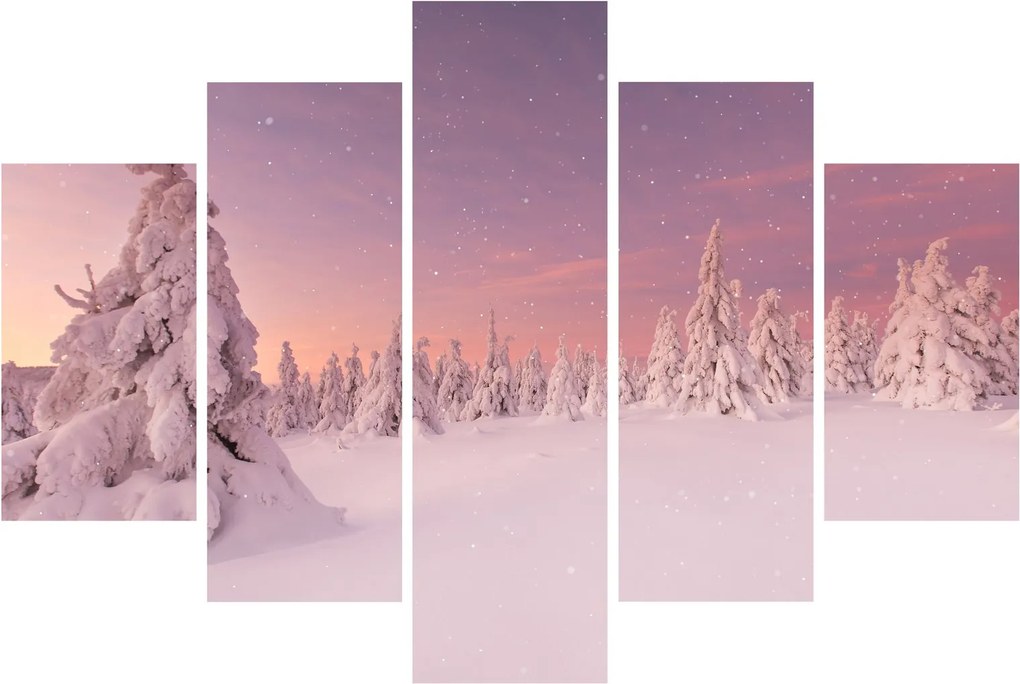 Obraz - Stromy pod snehovou prikrývkou (150x105 cm)