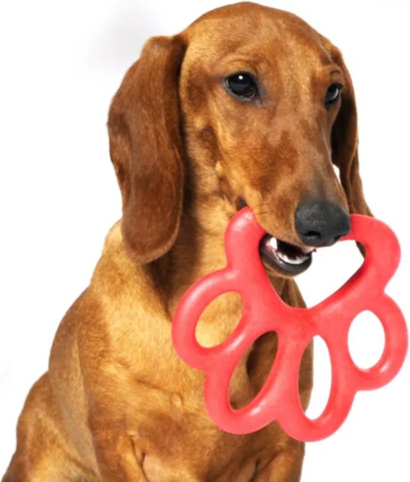 BAMA Hračka pre psov ORMA MINI Barva: oranžová