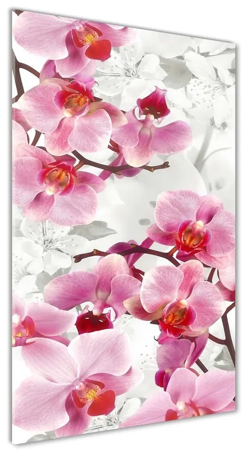 Foto obraz akrylové sklo Ružová orchidea pl-oa-70x140-f-44684614