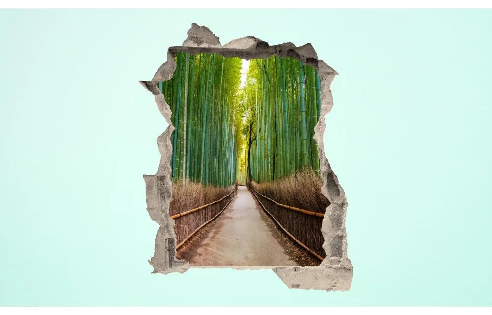 3D fototapeta, Bambusový les, 100 x120cm