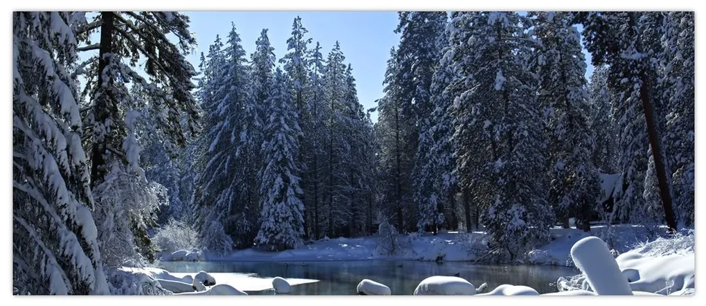 Obraz zasneženého lesa (120x50 cm)