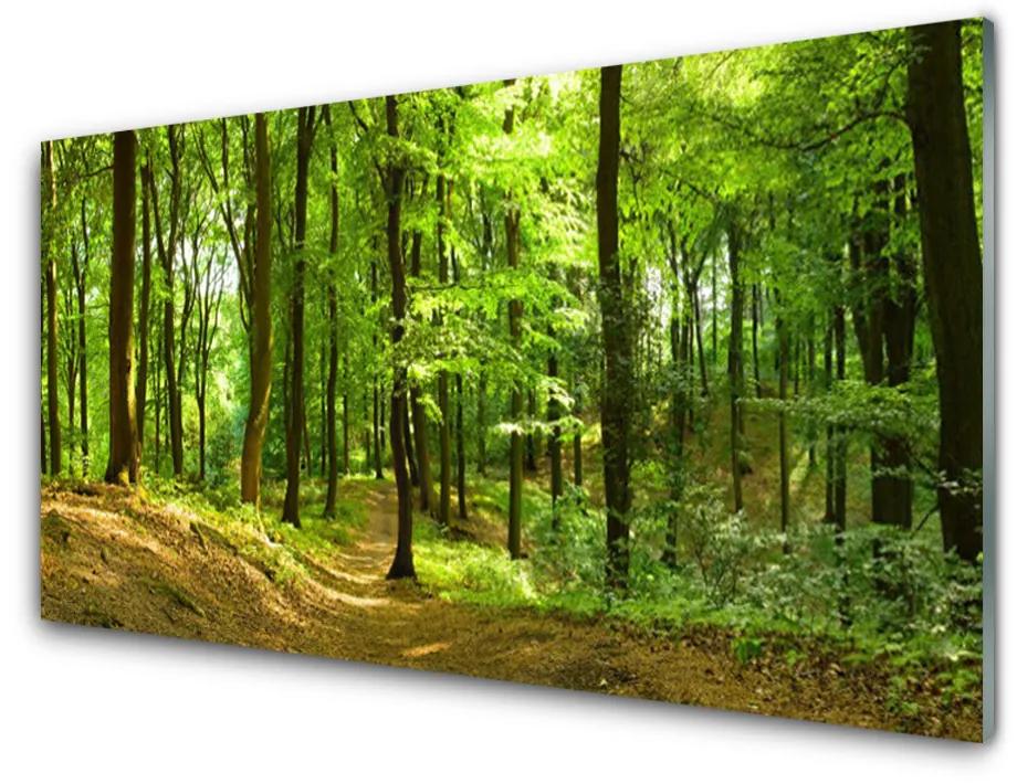 Obraz na akrylátovom skle Les príroda 140x70 cm