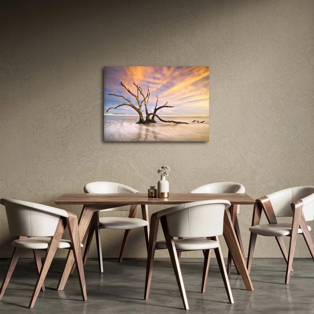 Obraz stromu v oceáne (70x50 cm)